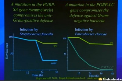 mutations_block_immunity_system__provoke_infections_400_01