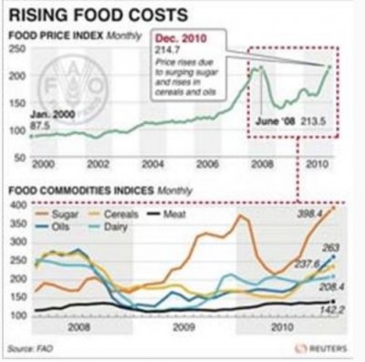 world_food_prices_up_in_2008__2010_fao_400